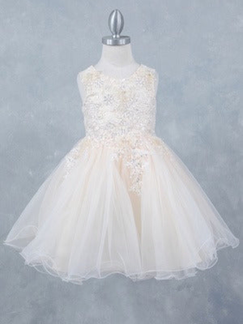 Champagne Multi Layered Tulle Dress with Hand Crafted 3D Flowers